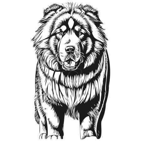 Illustration for Tibetan Mastiff dog pet silhouette, animal line illustration hand drawn black and white vector - Royalty Free Image