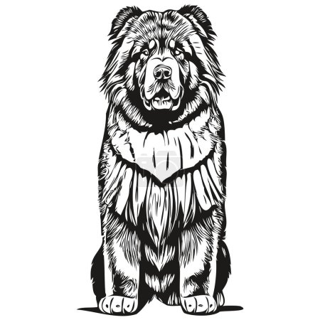 Illustration for Tibetan Mastiff dog realistic pet illustration, hand drawing face black and white vector - Royalty Free Image