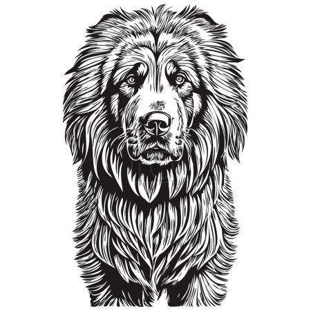 Illustration for Tibetan Mastiff dog realistic pet illustration, hand drawing face black and white vector realistic breed pet - Royalty Free Image
