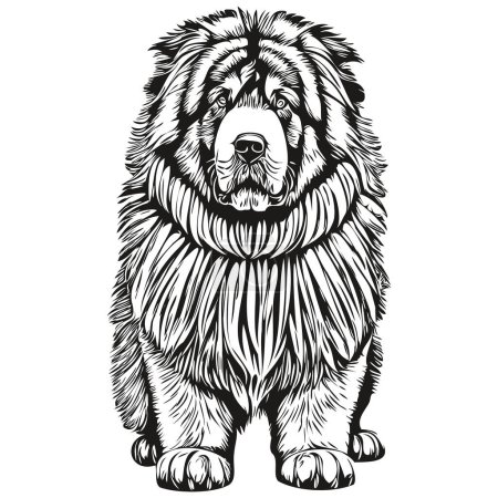 Illustration for Tibetan Mastiff dog silhouette pet character, clip art vector pets drawing black and white realistic breed pet - Royalty Free Image
