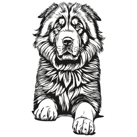 Illustration for Tibetan Mastiff dog silhouette pet character, clip art vector pets drawing black and white - Royalty Free Image