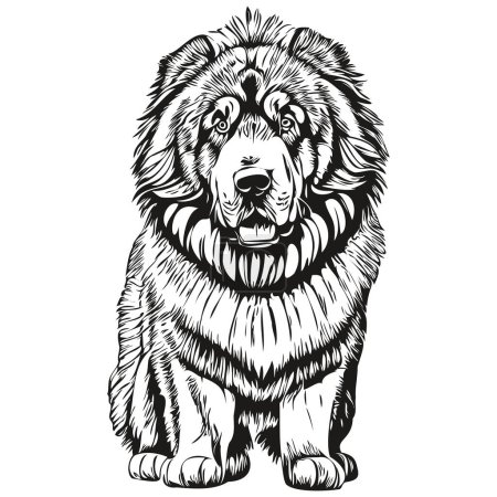 Illustration for Tibetan Mastiff dog t shirt print black and white, cute funny outline drawing vector realistic breed pet - Royalty Free Image