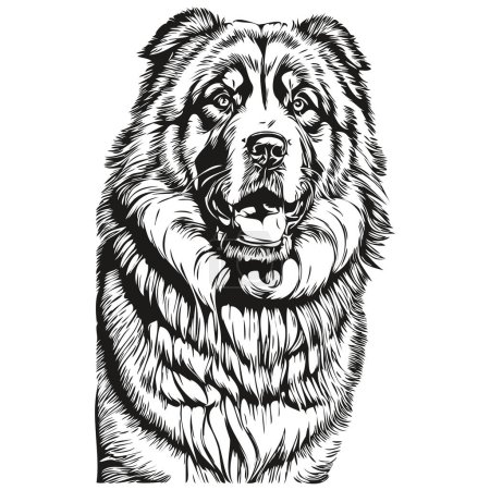 Illustration for Tibetan Mastiff dog t shirt print black and white, cute funny outline drawing vector - Royalty Free Image