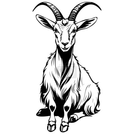 Vector Alpine Goat sitting engraving drawing of wild animal, monochrome isolated artwork