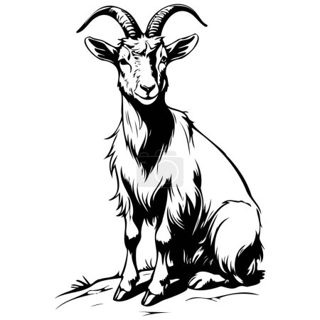 Alpine Goat sitting engraving drawing of wild animal, monochrome