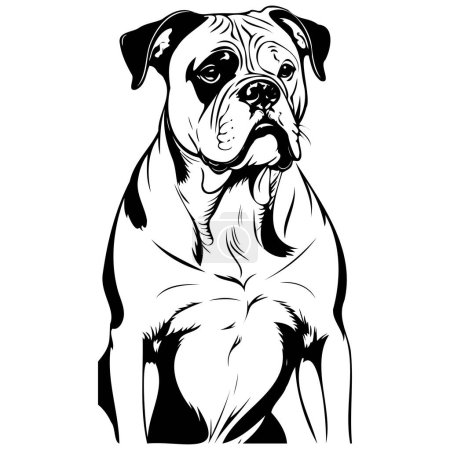 Téléchargez les illustrations : American Bulldog portrait dessin, dessin réaliste à la main, croquis au crayon, silhouette isolée - en licence libre de droit