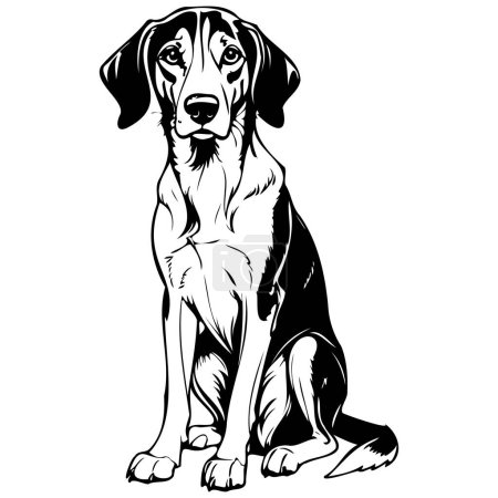 American Foxhound croquis assis illustration animale dessinée à la main, fond transparent