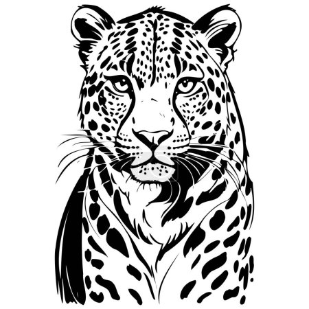Amur Leopard portrait hand drawn animal illustration, transparent background