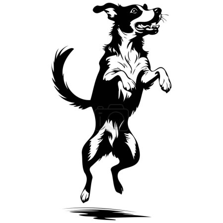 Illustration for Appenzeller Dog jumps engraving drawing of wild animal, monochrome isolated artwork - Royalty Free Image