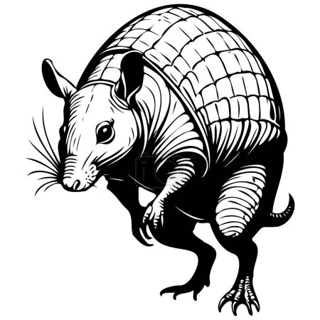 Realistic Armadillo jumps drawing, realistic hand drawing line art, pencil sketch, isolated silhouette