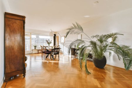 Photo for A living room with wood flooring and large potted plants in the corner of the room is bright white - Royalty Free Image