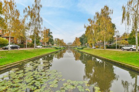 Téléchargez les photos : Amsterdam, Pays-Bas - 10 avril 2021 : un canal avec des nénuphars à l'avant et des maisons de l'autre côté du canal, entourées d'arbres - en image libre de droit