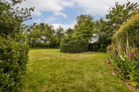 Photo for The back yard with trees and bushes in the fore - image is taken from an angleers perspective - Royalty Free Image