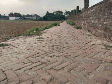 Téléchargez les photos : Route du village indien. vieux chemin de brique rectangle rouge ou sentier ou trottoir avec terre - en image libre de droit