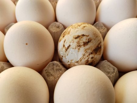 Foto de Solo huevo sucio en bandeja en el mercado callejero, huevo de pato - Imagen libre de derechos