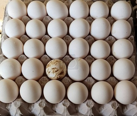 Foto de Solo huevo sucio en bandeja en el mercado callejero, huevo de pato - Imagen libre de derechos