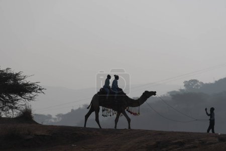 Foto de Fotos Camel Festival Puskar Rajasthan India, Camel Siout, Camel Close up - Imagen libre de derechos