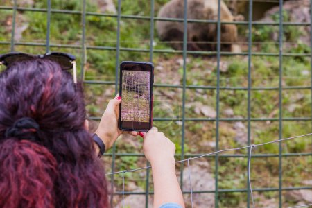 Foto de Una mujer latina media tomar una foto a través de una valla del zoológico. Naturaleza Vida Silvestre co-turismo conservación en Asturias. Animales salvajes, ursus arctos comiendo - Imagen libre de derechos