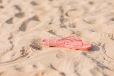 Photo for Holiday leisure relaxation with flip-flops in paradise. concept with copy space - Royalty Free Image