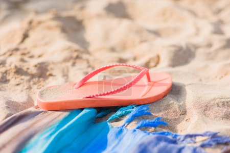 Photo for Holiday leisure relaxation with flip-flops in paradise. concept with copy space - Royalty Free Image