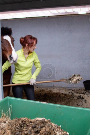 Photo for Small business entrepreneur, woman in countryside. Work washing and cleaning stables for animal care. Horse organic manure compost for agriculture . - Royalty Free Image