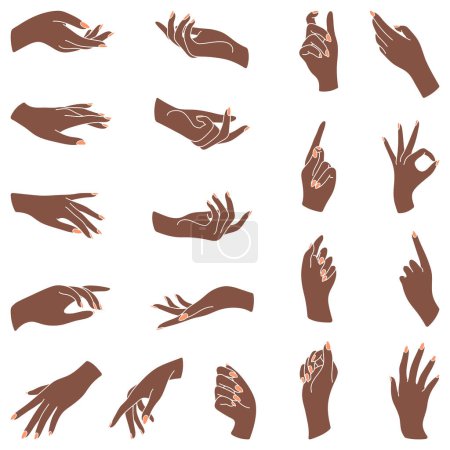 Illustration for Set of beautiful female manicured hands. Collection of elegant arms with wrists and fingers. Different signals and gesturing expression. Finger pointing and gestures. Non-verbal language. - Royalty Free Image