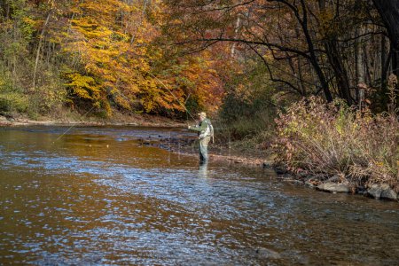 Téléchargez les photos : Pêcheur pêche sur la rivière Casselman entouré par belle couleur d'automne dans le comté de Garrett Maryland - en image libre de droit