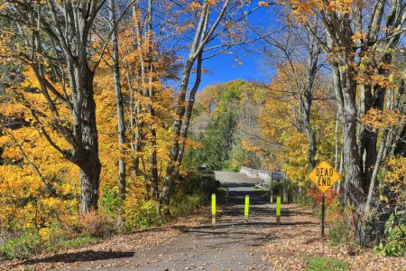 Téléchargez les photos : Passerelle sur le pont de la rivière Casselman un jour d'automne dans le comté de Garrett Maryland - en image libre de droit