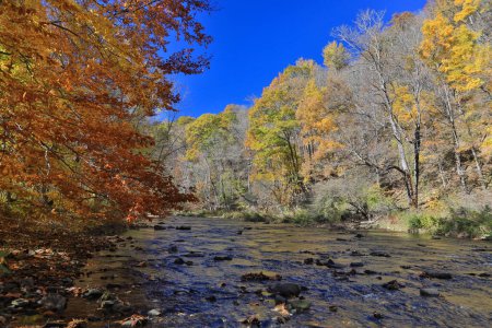 Téléchargez les photos : La rivière Casselman dans le comté de Garrett Maryland à la fin de l'automne - en image libre de droit
