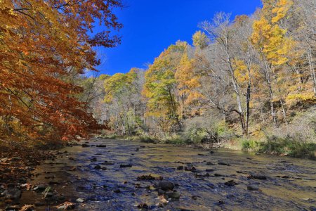 Téléchargez les photos : La rivière Casselman dans le comté de Garrett Maryland à la fin de l'automne - en image libre de droit