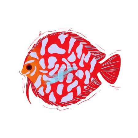 Téléchargez les photos : Discuter de l'illustration du poisson Isolé Blanc - en image libre de droit