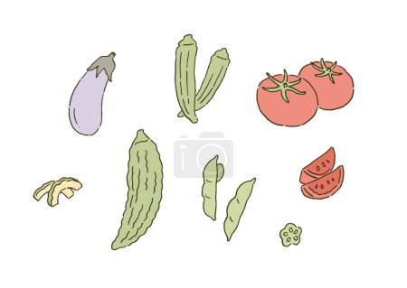 A set of illustrations of summer vegetables