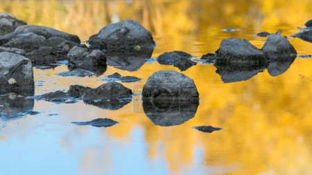 Téléchargez les photos : Stepping stones in clear still pond and yellow fall colored leaves reflecting in water landscape background - en image libre de droit