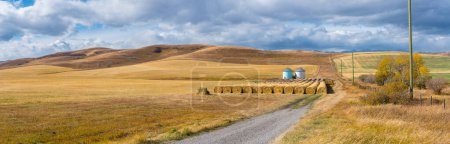 Foto de Rural Alberta pradera canadiense pradera paisaje paisaje paisaje paisaje paisaje de fondo. Hermoso campo de granjero y silos de grano con pacas de heno fondo de pantalla - Imagen libre de derechos