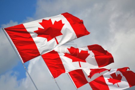 Foto de Banderas del Día de Canadá que soplan en el fondo del viento - Imagen libre de derechos