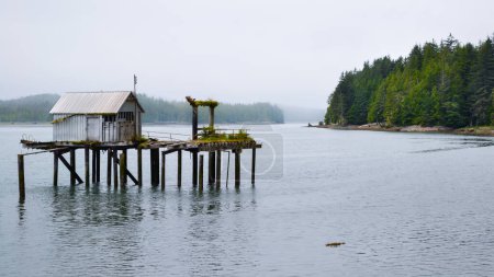 Photo for Canadian landscapes foggy water front and abandoned creepy shack background. North Pacific Cannery Historic Site foggy beautiful scenery, Prince Rupert, British Columbia - Royalty Free Image