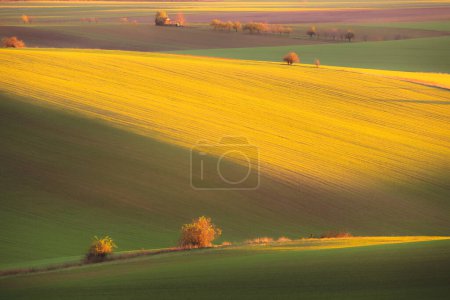 Photo for Sunset or sunrise golden light over rolling hills and rural countryside landscape farmland in the Hodonin District of South Moravia in the Czech Republic. - Royalty Free Image