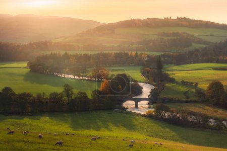 Hermosa vista del paisaje al atardecer en otoño de colinas onduladas y campo rural con Old Manor Bridge sobre el río Tweed cerca de Peebles en las fronteras escocesas de Escocia, Reino Unido.