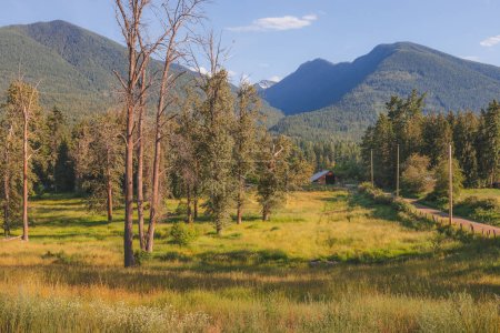 Landschaftlich reizvolle Landschaft und Scheune an einem sonnigen Sommertag in den Selkirk Mountains in den West Kootenays in der Nähe von Balfour, British Columbia, Kanada.