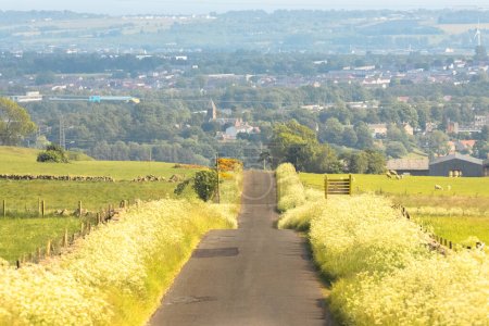 Photo for An empty country road straight ahead through rural rolling countryside landscape of Lomond Hills Regional Park towards Glenrothes, Fife, Scotland, UK on a sunny summer day. - Royalty Free Image