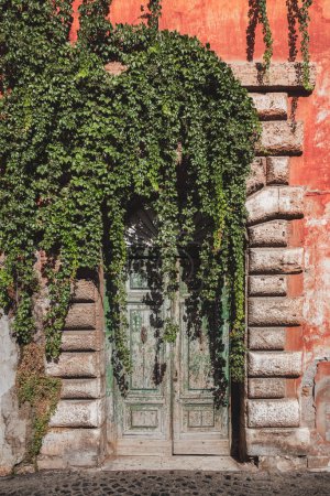 Téléchargez les photos : Lierre feuillu vert sur une vieille porte rustique d'un immeuble résidentiel dans le quartier coloré et historique de Trastevere à Rome, Italie. - en image libre de droit