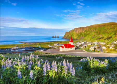 Photo for Breathtaking view of Vikurkirkja christian church in blooming lupine flowers. Most popular tourist destination. Location: Vik village in Myrdal Valley, Iceland, Europe. - Royalty Free Image