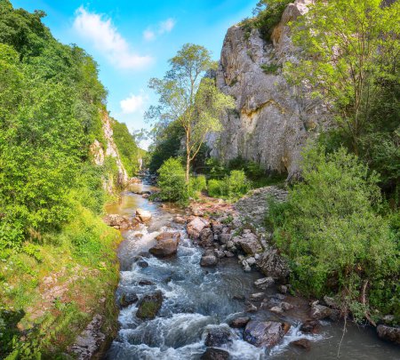 Herrliche Aussicht auf das Naturschutzgebiet der Turda-Schlucht (Cheile Turzii) mit markierten Wanderwegen am Fluss Hasdate. Lage: in der Nähe von Turda in der Nähe von Cluj-Napoca, in Siebenbürgen, Rumänien, Europa