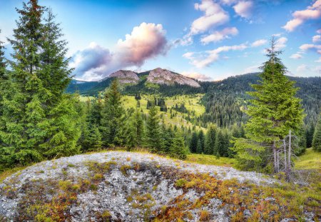 Téléchargez les photos : Vue imprenable sur le sommet de la montagne Pietrele Albe en été. Coucher de soleil majestueux au parc naturel d'Apuseni, comté de Cluj, Transylvanie, Roumanie, Europe - en image libre de droit