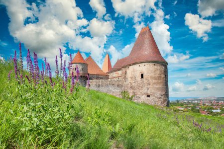 Faszinierender Morgenblick auf Hunyad Castle / Corvin 's Castle. Traumhaft sonniger Sommertag. Standort: Hunedoara, Siebenbürgen, Rumänien, Europa