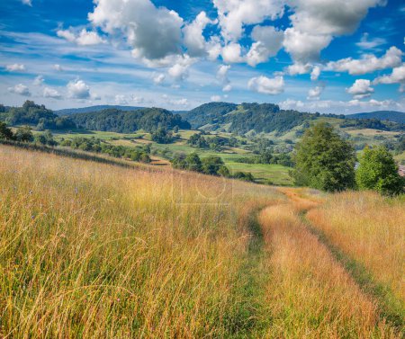 Amazing summer landscape nier Biertan in Romania.   Location: Biertan, Sibiu county, Romania, Europe