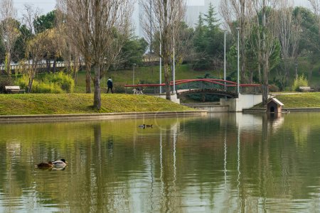 Foto de Public park with a lake with reflections in the water and people walking quietly - Imagen libre de derechos