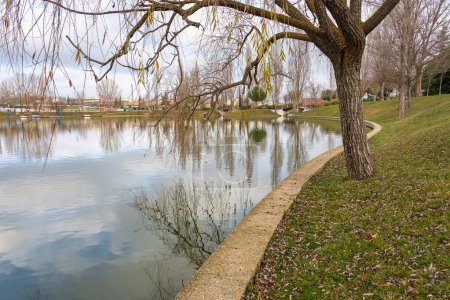 Téléchargez les photos : Lake with reflections of trees and sky in a public park in the city of Tres Cantos, Madrid - en image libre de droit