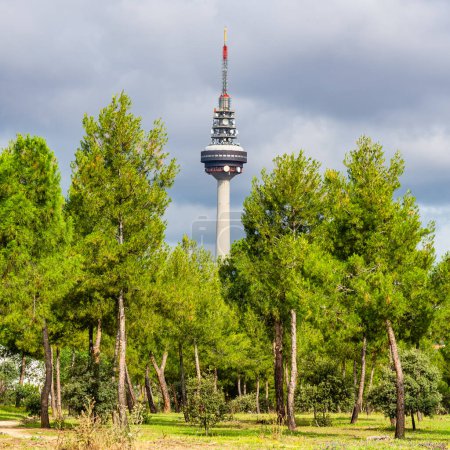 Foto de Torre de comunicaciones de la capital de España en Madrid que destaca entre el pinar - Imagen libre de derechos