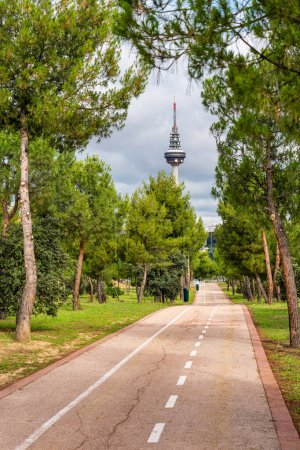 Foto de Carriles bici en el bosque de pinos junto a la torre de comunicaciones de Madrid - Imagen libre de derechos